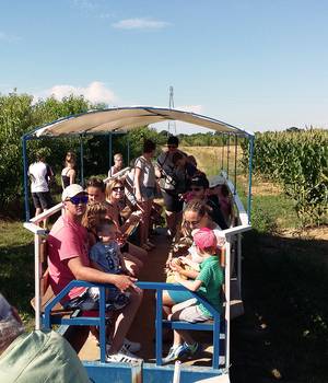 Visites ClosFougères2.jpg