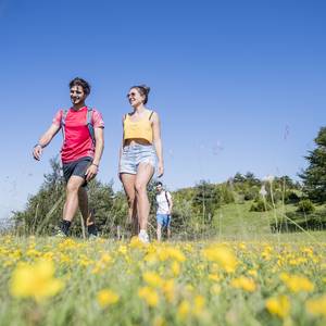 Trois personnes marchent dans un champ fleuri