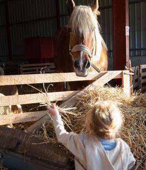 AGG_DessineMoiUneBrebis-Ferme_2024©JeanDELMARTY_1720.jpg