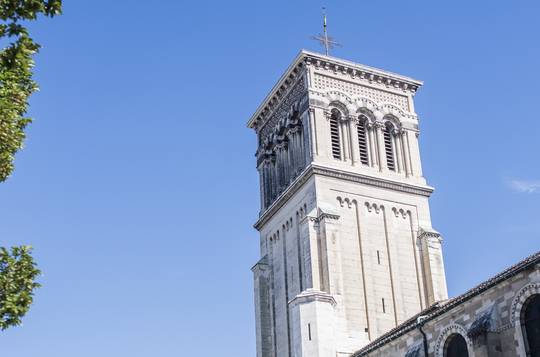 cathédrale Saint-Apollinaire