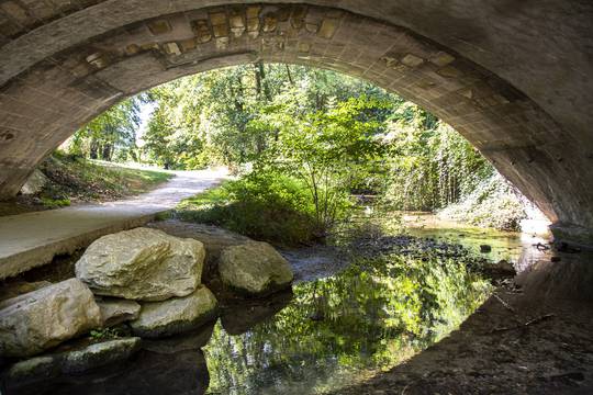 bois des naix