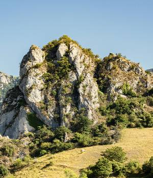 au pied du vercors.jpg