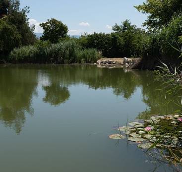 Chaleyre ponds