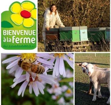 Au Rucher de Marches / La Petite Ferme Maoliga