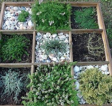 Arom'antique - Pépinière