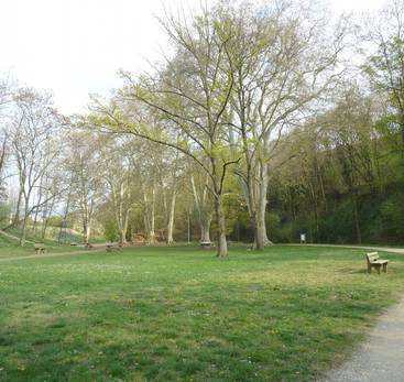 Balade nature commentée : Le Bois des Naix