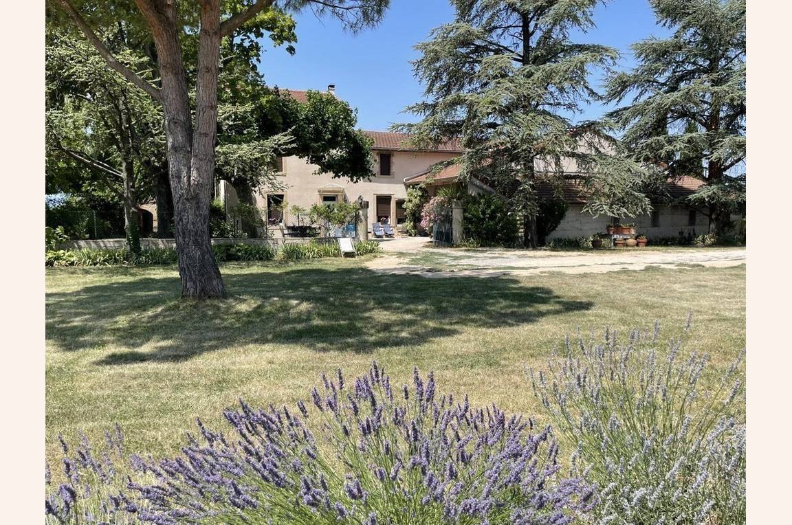 A votre arrivée, entre lavande et laurier rose, sous l'ombre du pin parasol