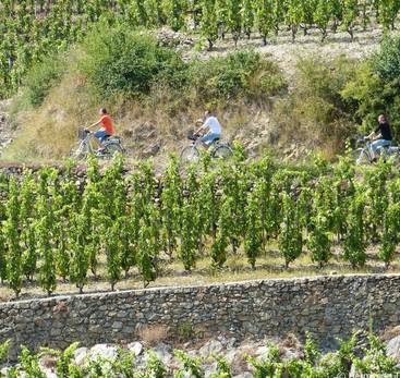 Bicycle tour - Tour of the Drôme des Collines region