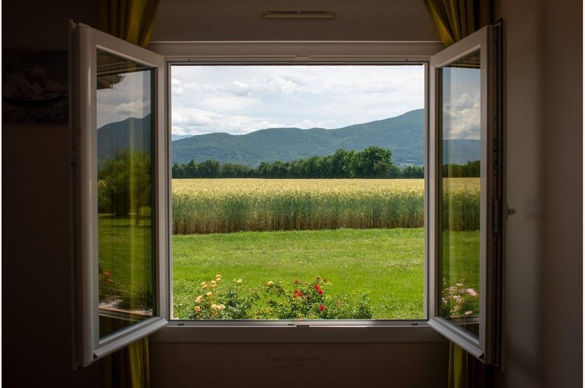 Vue depuis la chambre