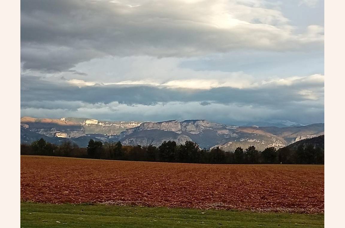 Vue depuis la terrasse