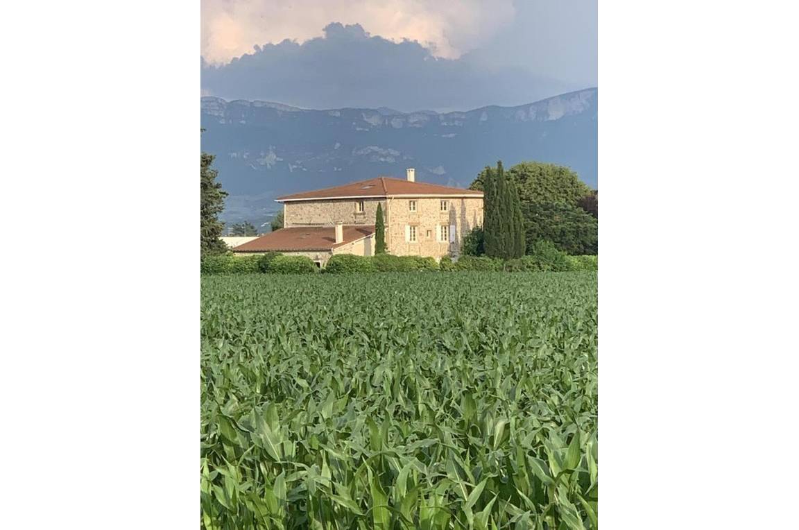 Notre maison entourée de champs de Maïs