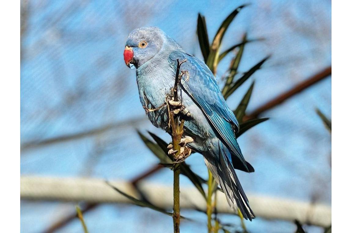 Parc animalier de Lussas