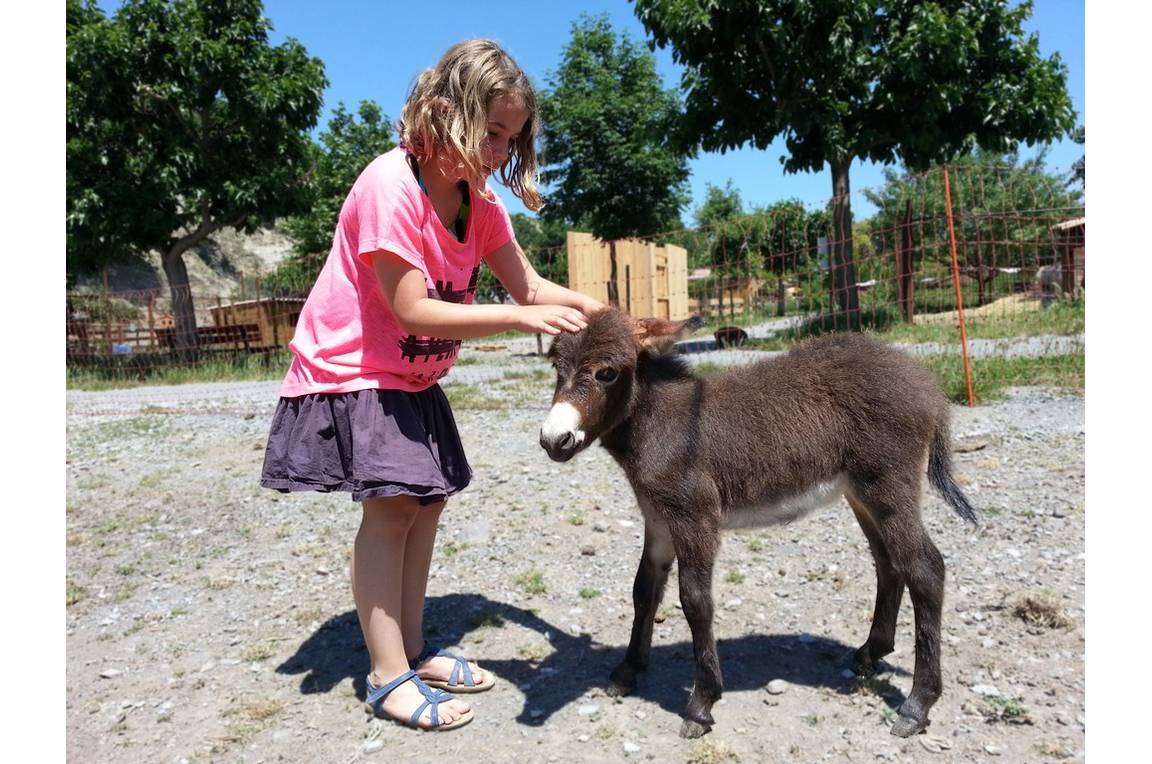 Parc animalier à Lussas