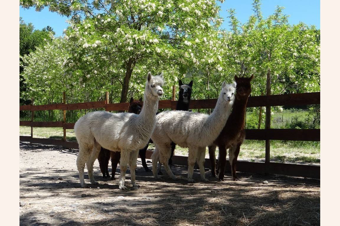 Parc animalier à Lussas