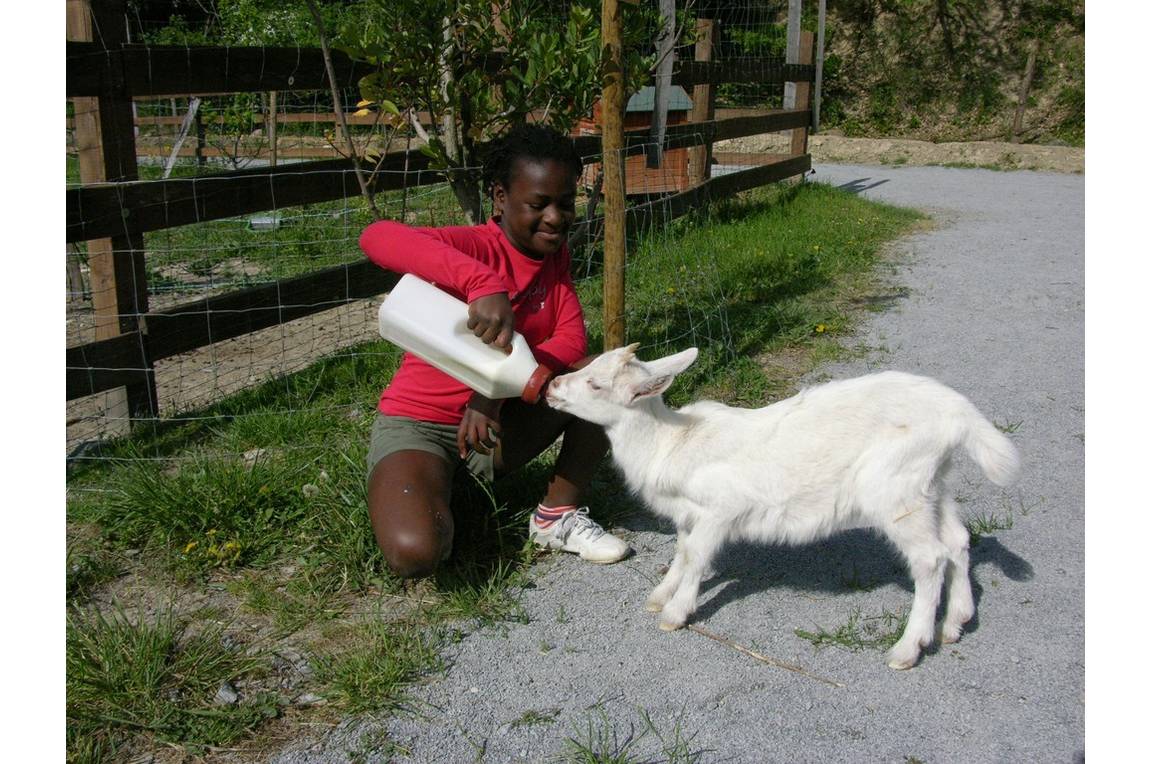 Parc animalier à Lussas