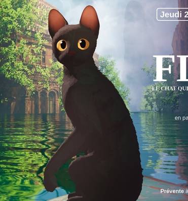 Séance spéciale : "Flow, le chat qui n