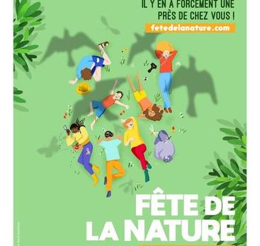 Promenade : Petite errance à la découverte de la faune locale - Fête de la Nature