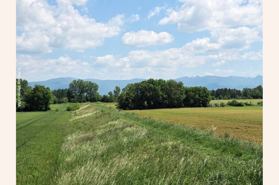 Le sentier des digues