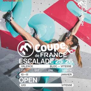 Coupe de France d'escalade