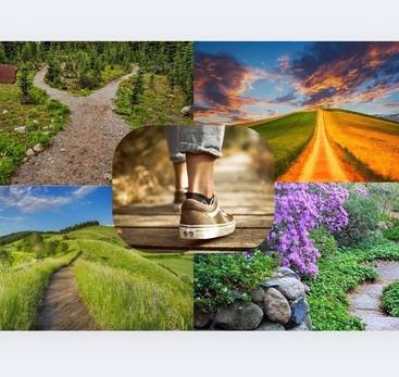 Balade de l'herboriste