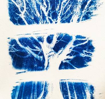 Atelier créatif: Cyanotype