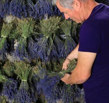 4 Vallées Essential Oil Distillery