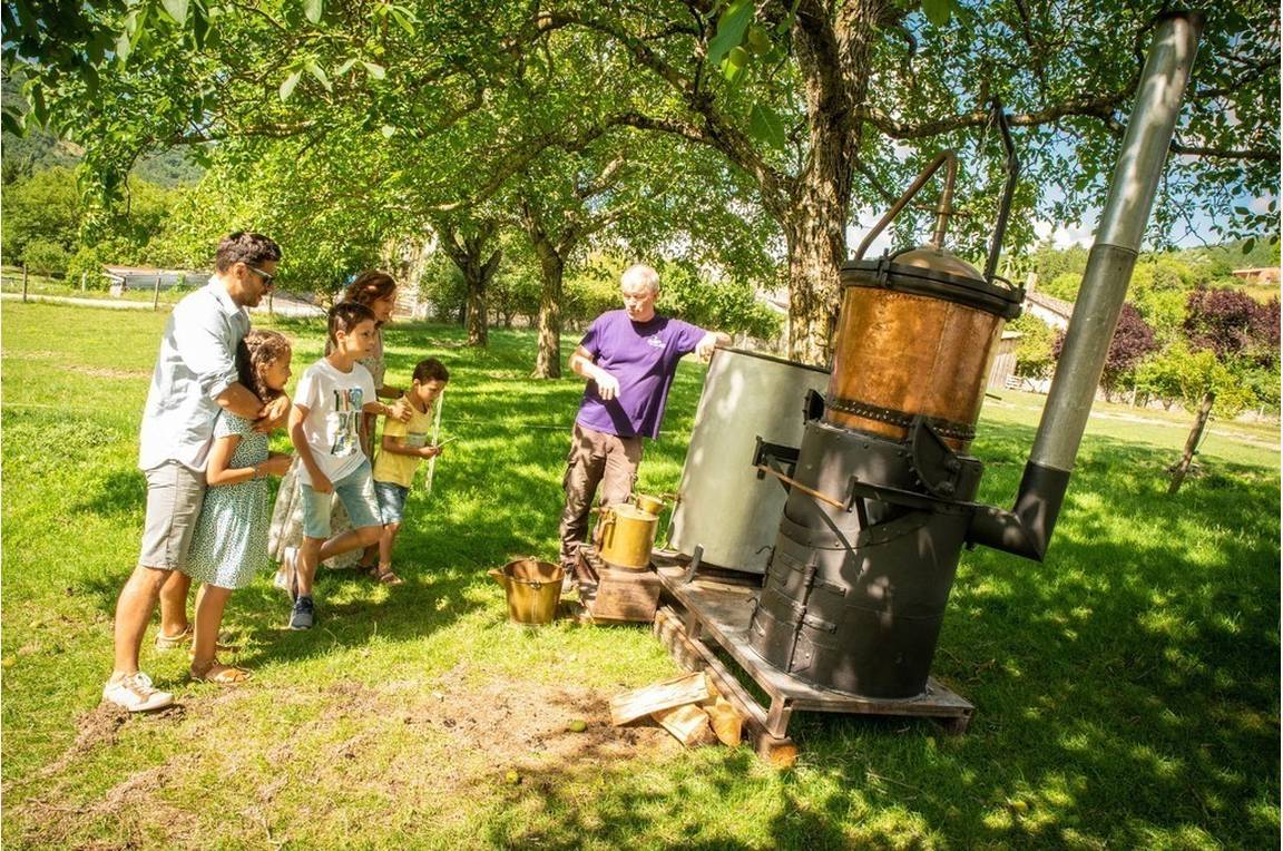 Découverte familiale des anciens alambics