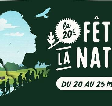 A la découverte des pollinisateurs avec l'ABC de la biodiversité