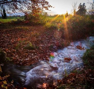 Au gré des cours d'eau