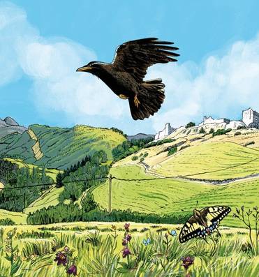 no pic