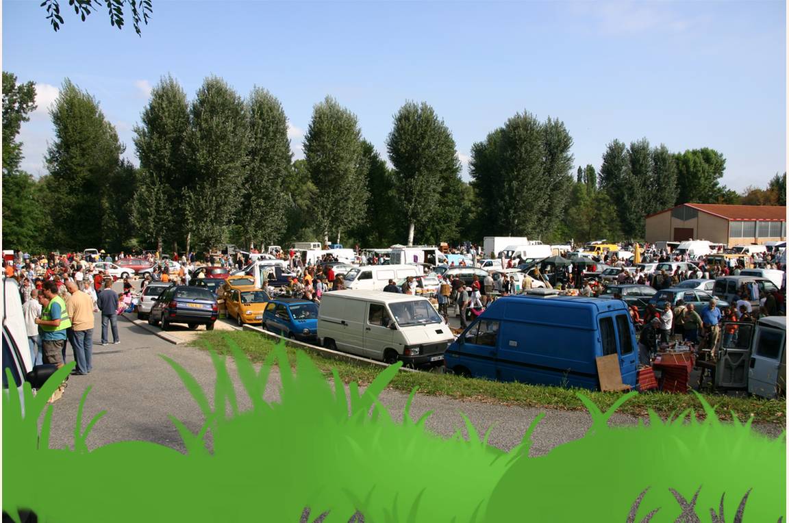 Foto 1