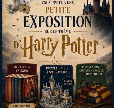 Exposition : Harry Potter