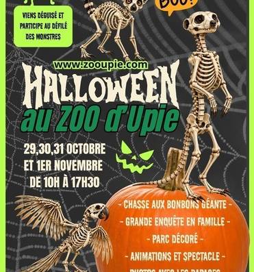 Halloween au Zoo d'Upie