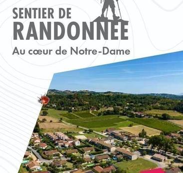 Au coeur de Notre-Dame