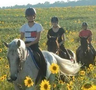 Equitation Romanaise